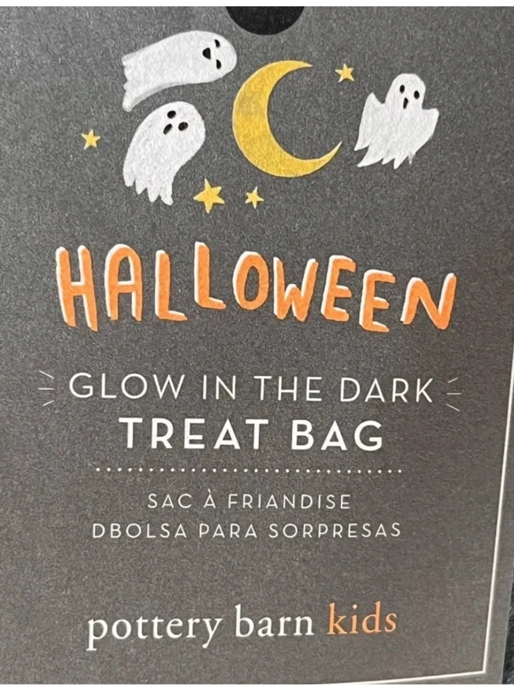 Pottery Barn Kids Glow in the Dark Cat Treat Bag